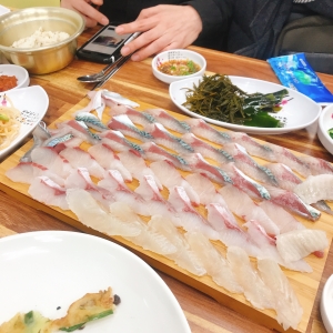 노량진수산 가성비, 횟집, 도남동맛집